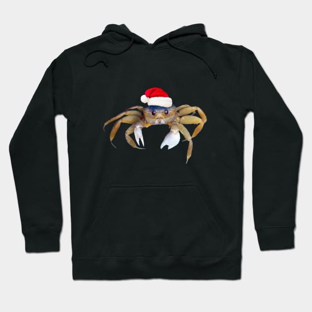 Crabby Christmas Hoodie by Astrablink7